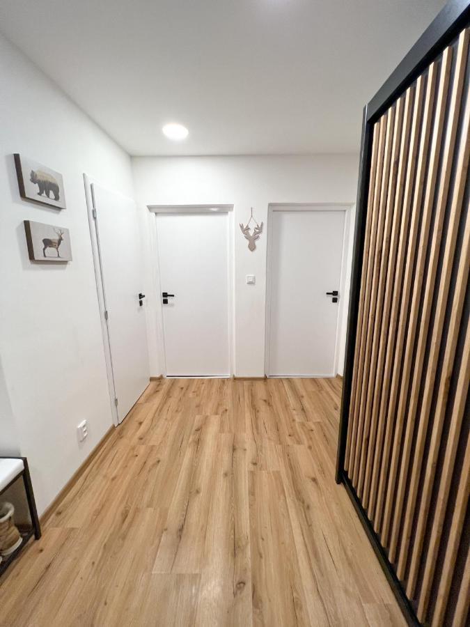 Apartman Visek 亚希莫夫 外观 照片
