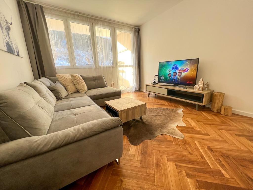 Apartman Visek 亚希莫夫 外观 照片