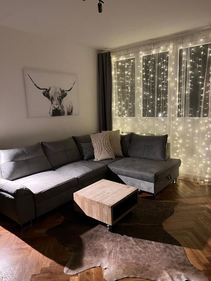 Apartman Visek 亚希莫夫 外观 照片