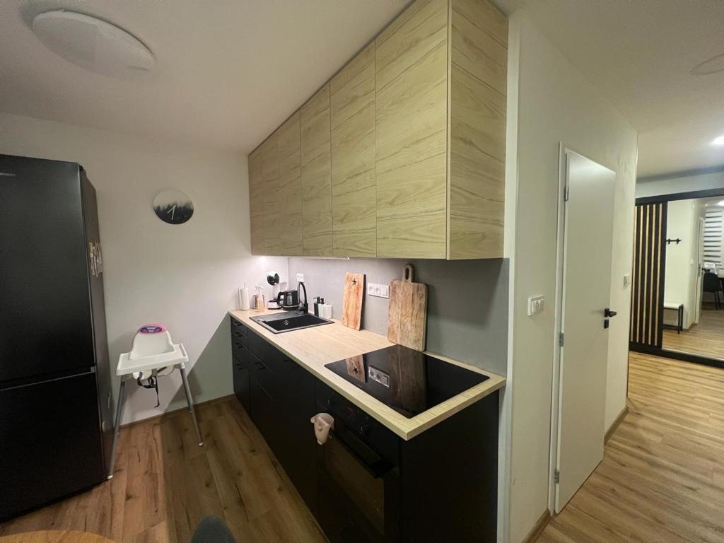 Apartman Visek 亚希莫夫 外观 照片