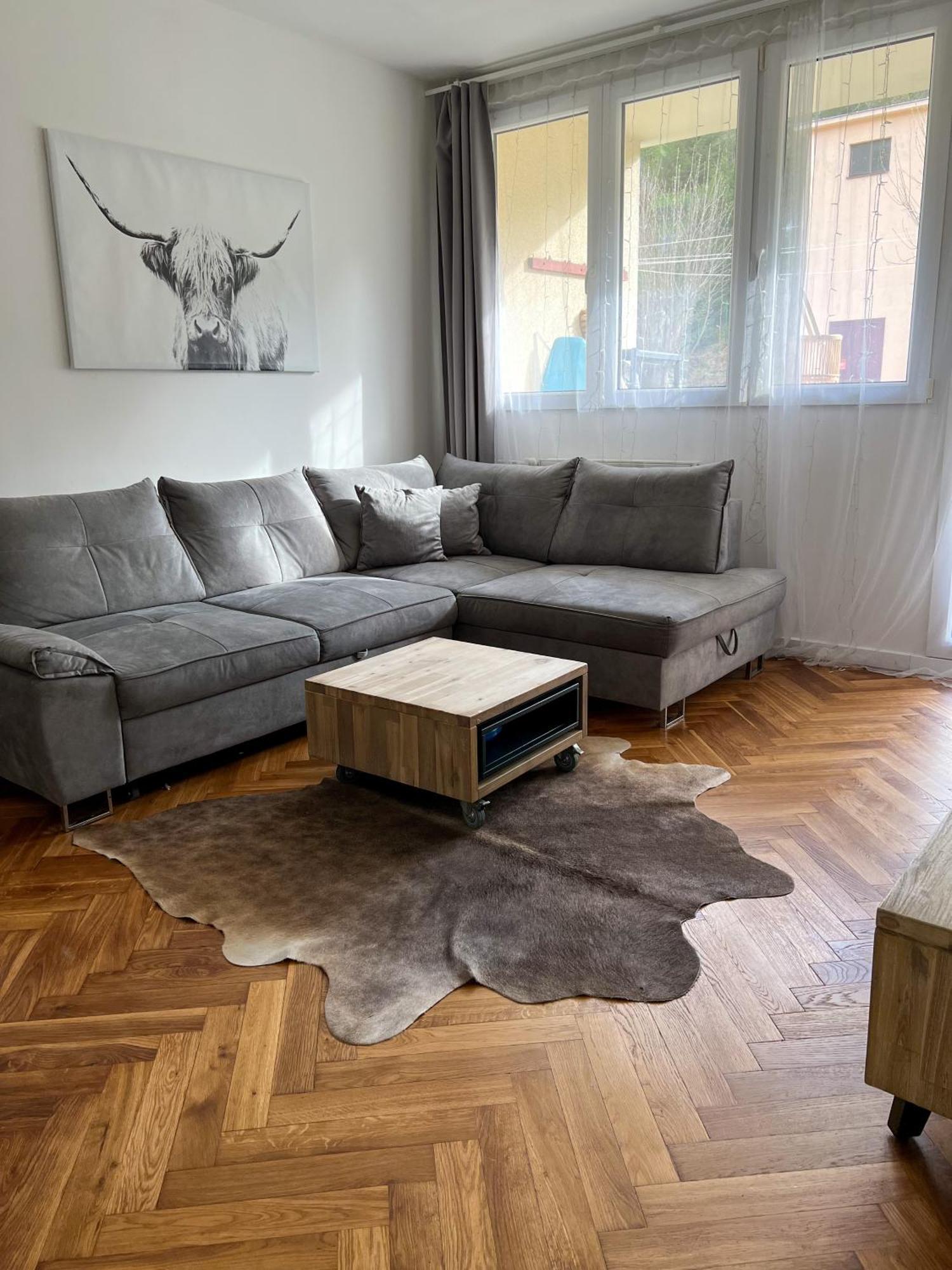 Apartman Visek 亚希莫夫 外观 照片